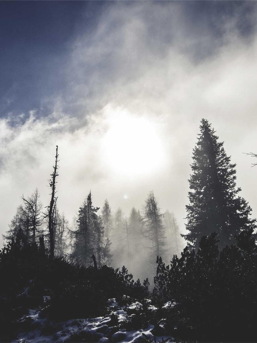 Imagen producto billetera-con-monedero-75 1