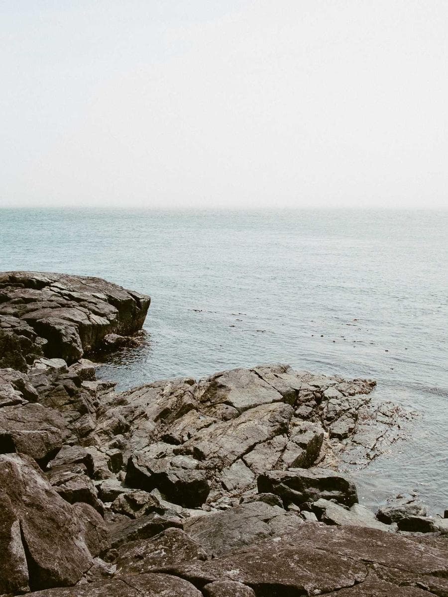 Imagen producto billetera-con-monedero-iii-91 1