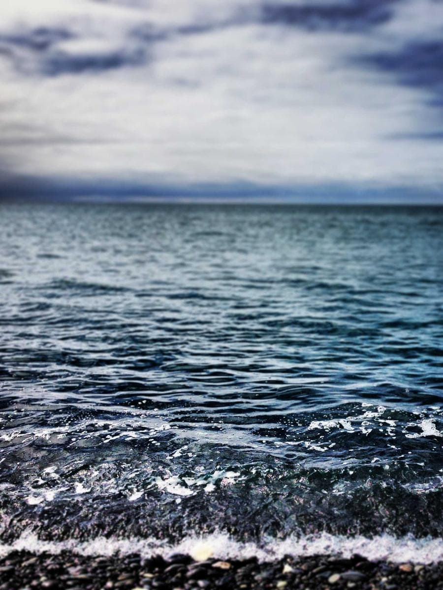 Imagen producto brandy-y-especias-15 1