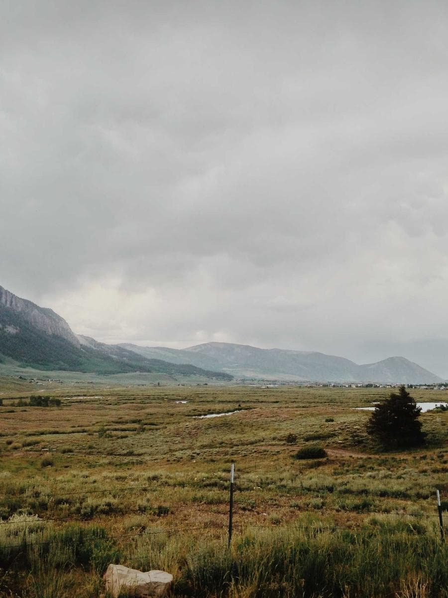 Imagen producto cafe-oscuro-16 1