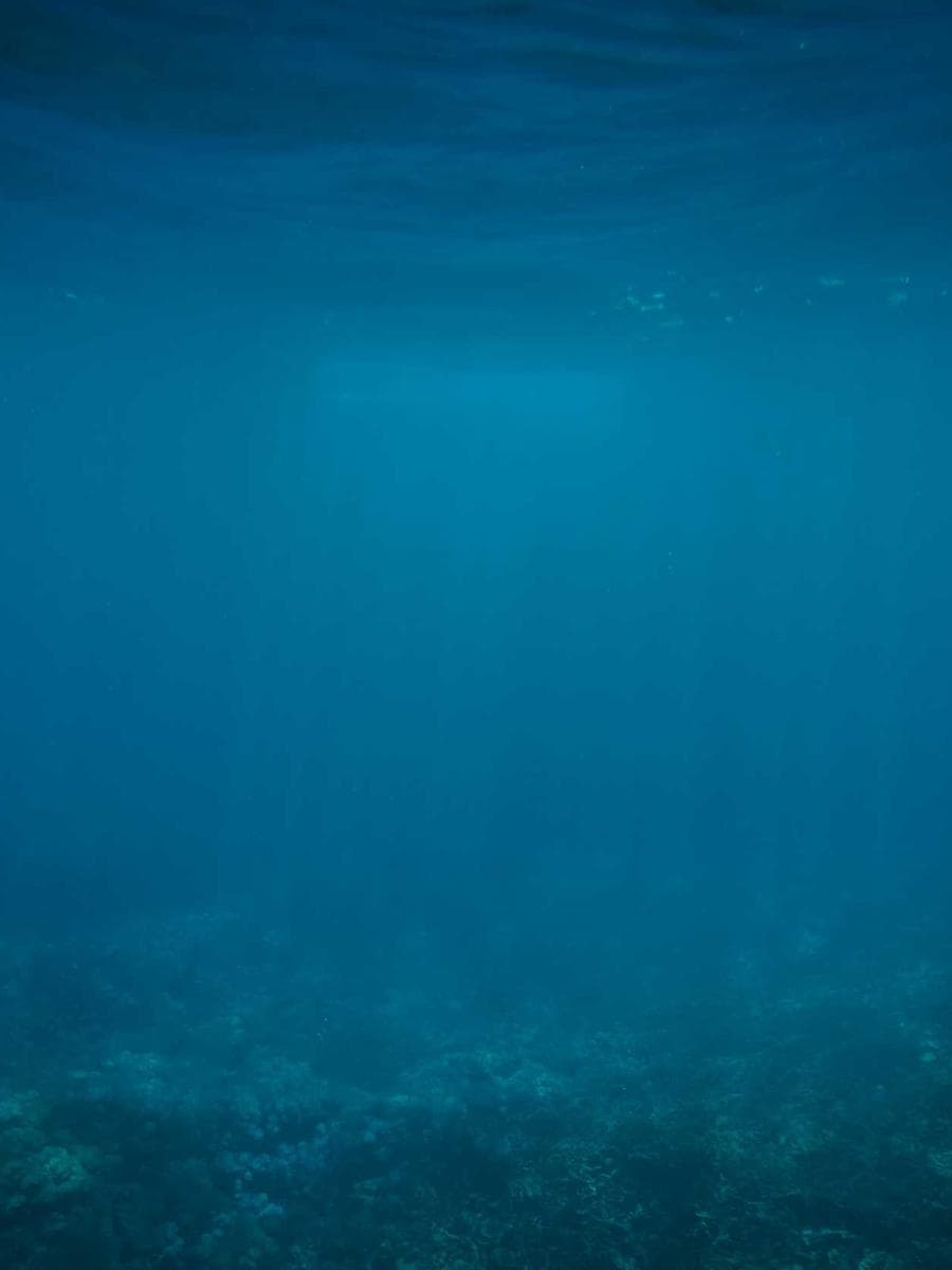 Imagen producto cardholder-silence-iii-92 1