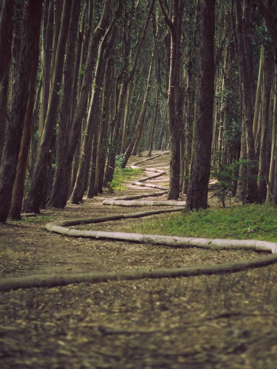 Imagen producto cuadradas-metal-97 1