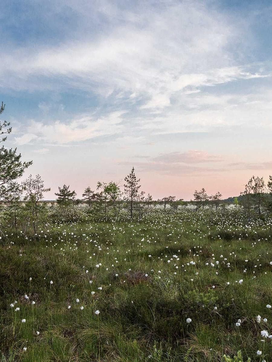 Imagen producto cuarzo-minimalista-29 1