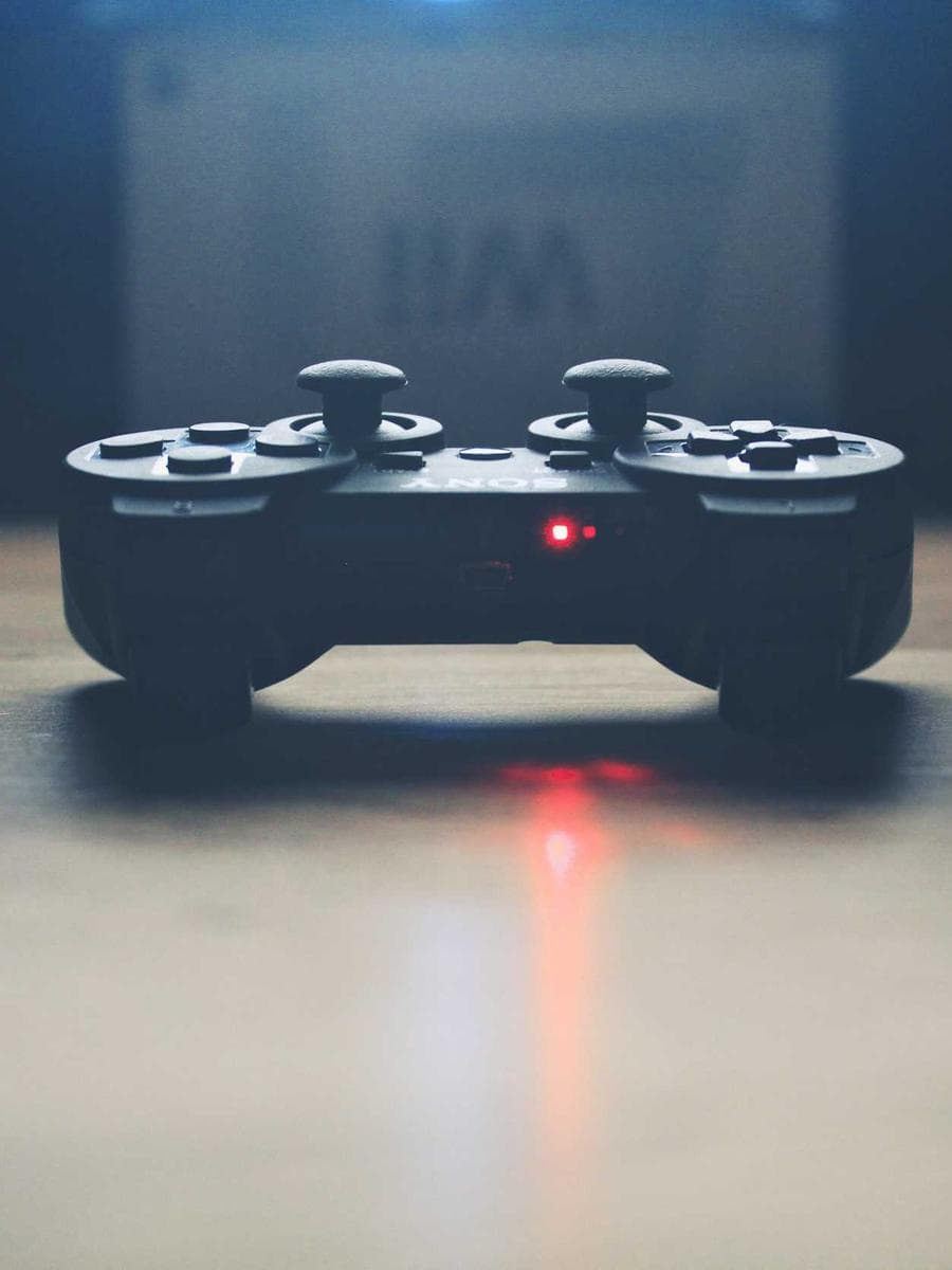 Imagen producto cuero-salvaje-8 1