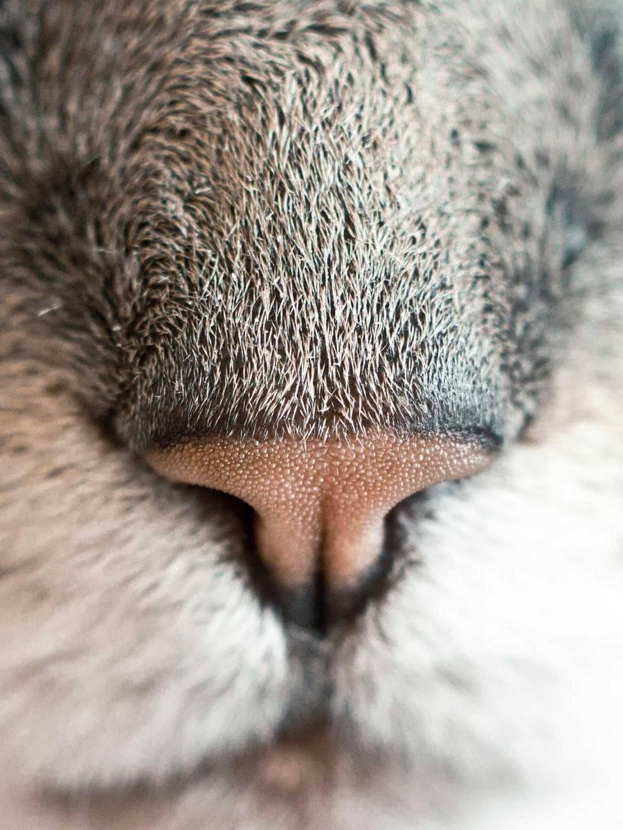 Imagen producto gafas-opticas-arquitecto-93 1