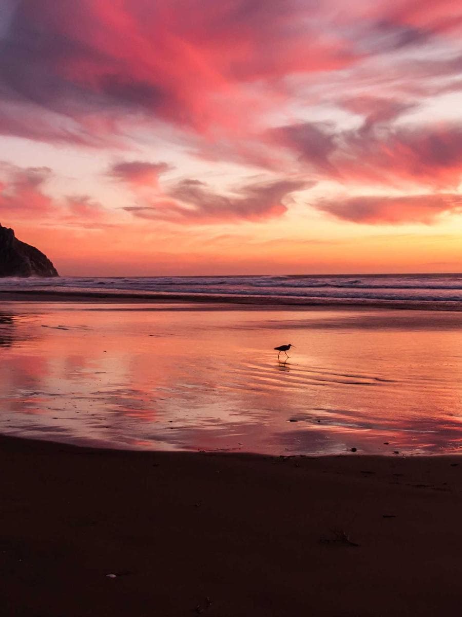 Imagen producto gafas-opticas-arquitecto-iii-111 1