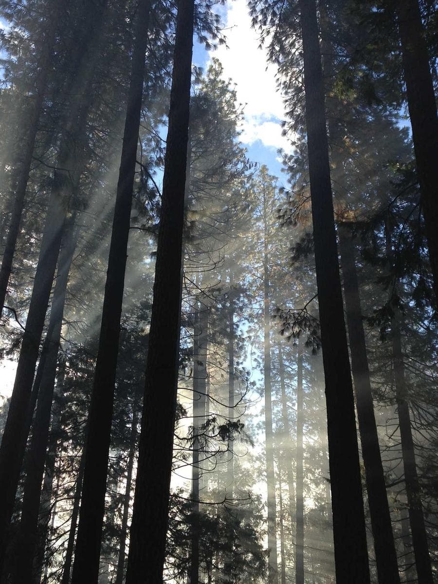 Imagen producto gmt-viajero-ii-42 1