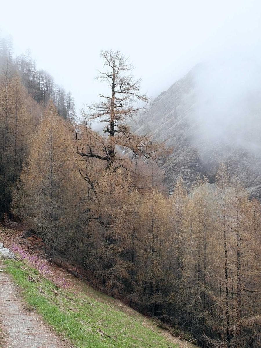 Imagen producto lectura-1-5-100 1