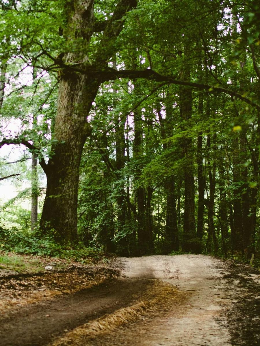 Imagen producto lluvia-de-plata-14 1