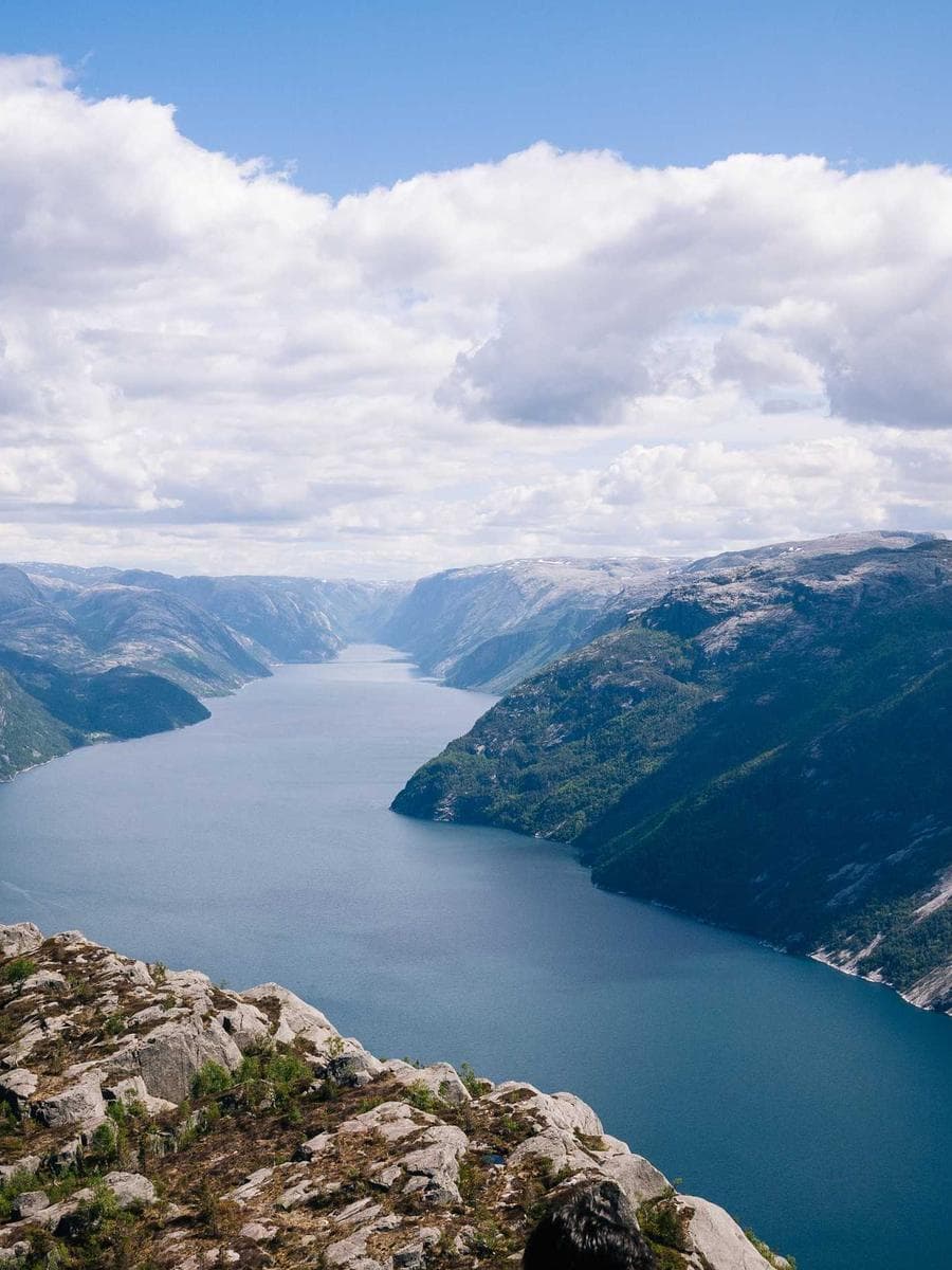 Imagen producto noche-de-ebano-1 1