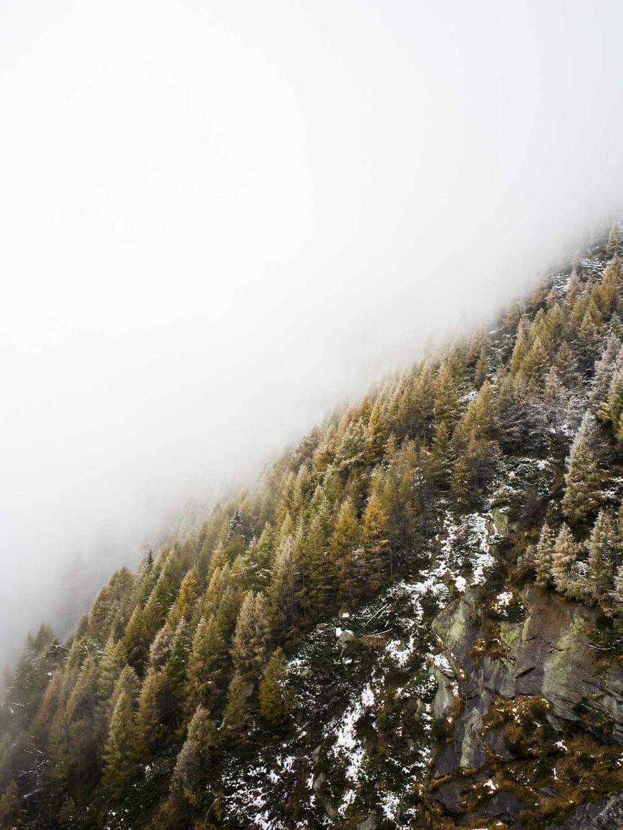 Imagen producto opticas-titanio-slim-ii-107 1