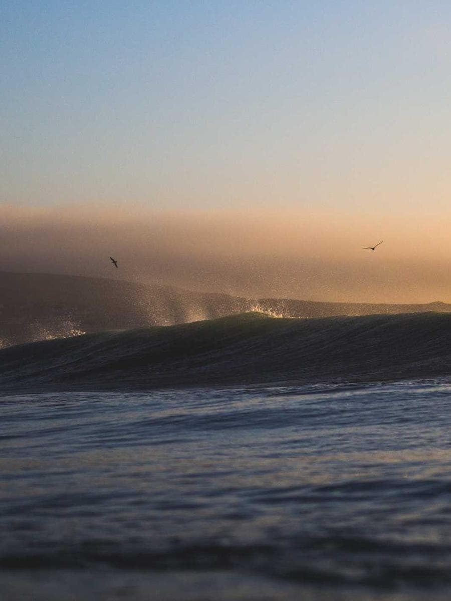 Imagen producto oud-obscuro-5 1