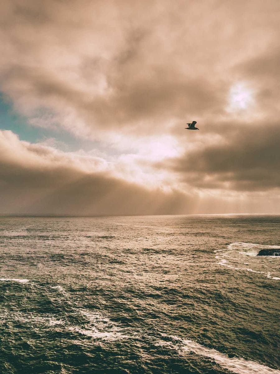 Imagen producto portadocumentos-cuero-marron-73 1