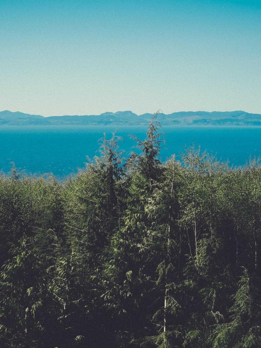 Imagen producto portadocumentos-cuero-marron-iii-89 1