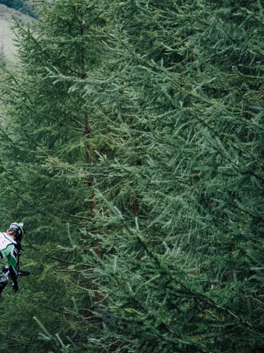 Imagen producto regulator-moderno-35 1