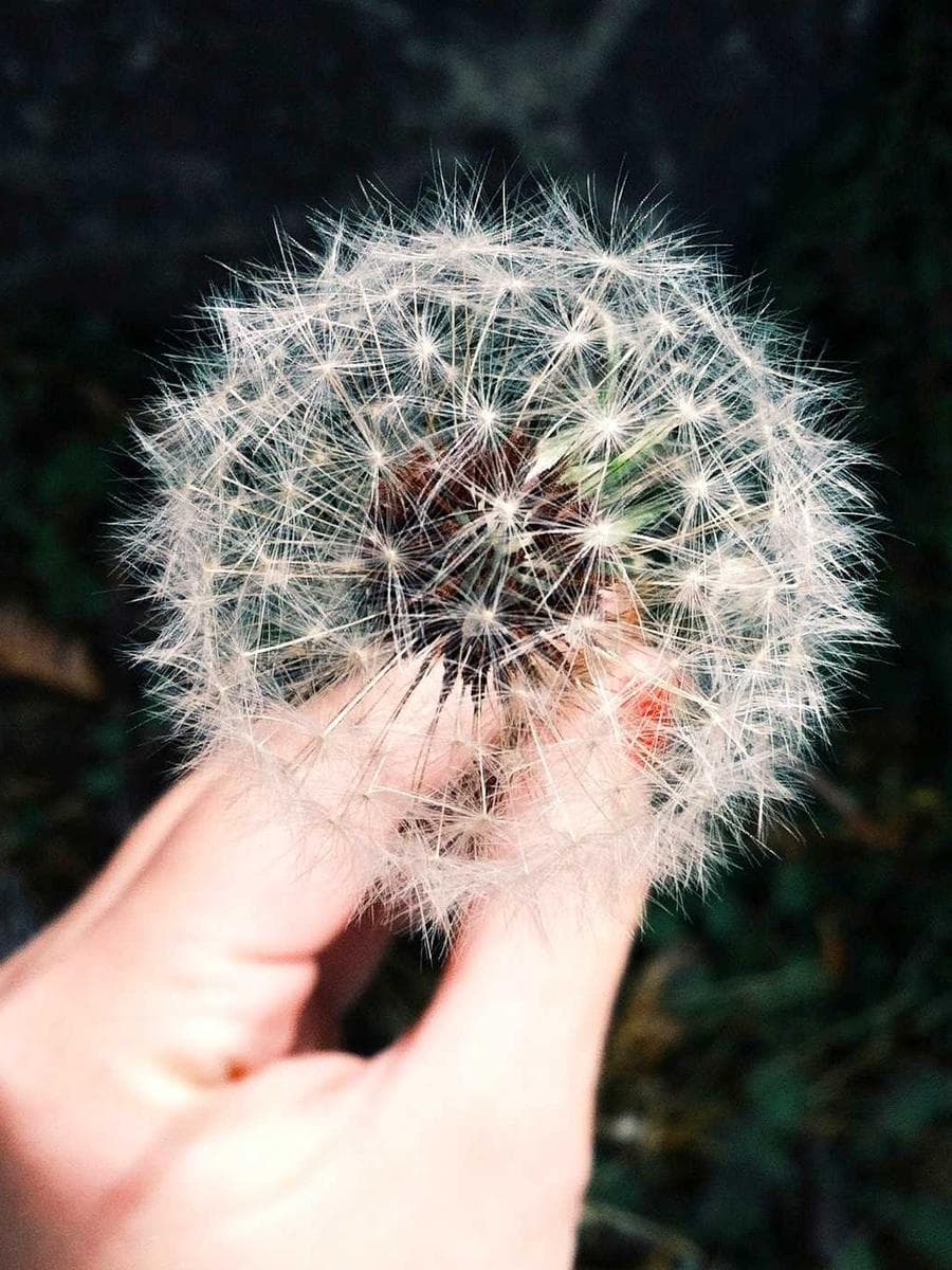 Imagen producto skeleton-noir-28 1