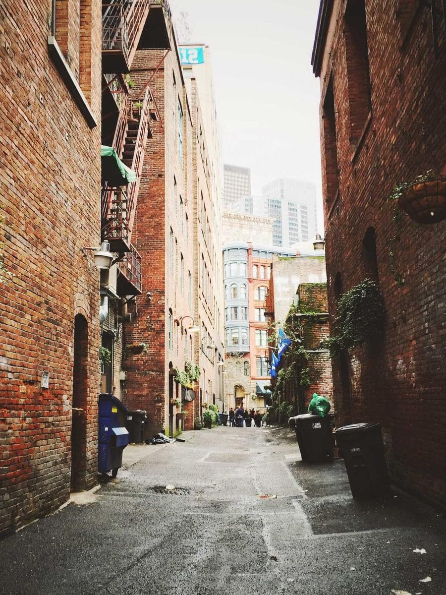 Imagen producto skeleton-noir-ii-40 1