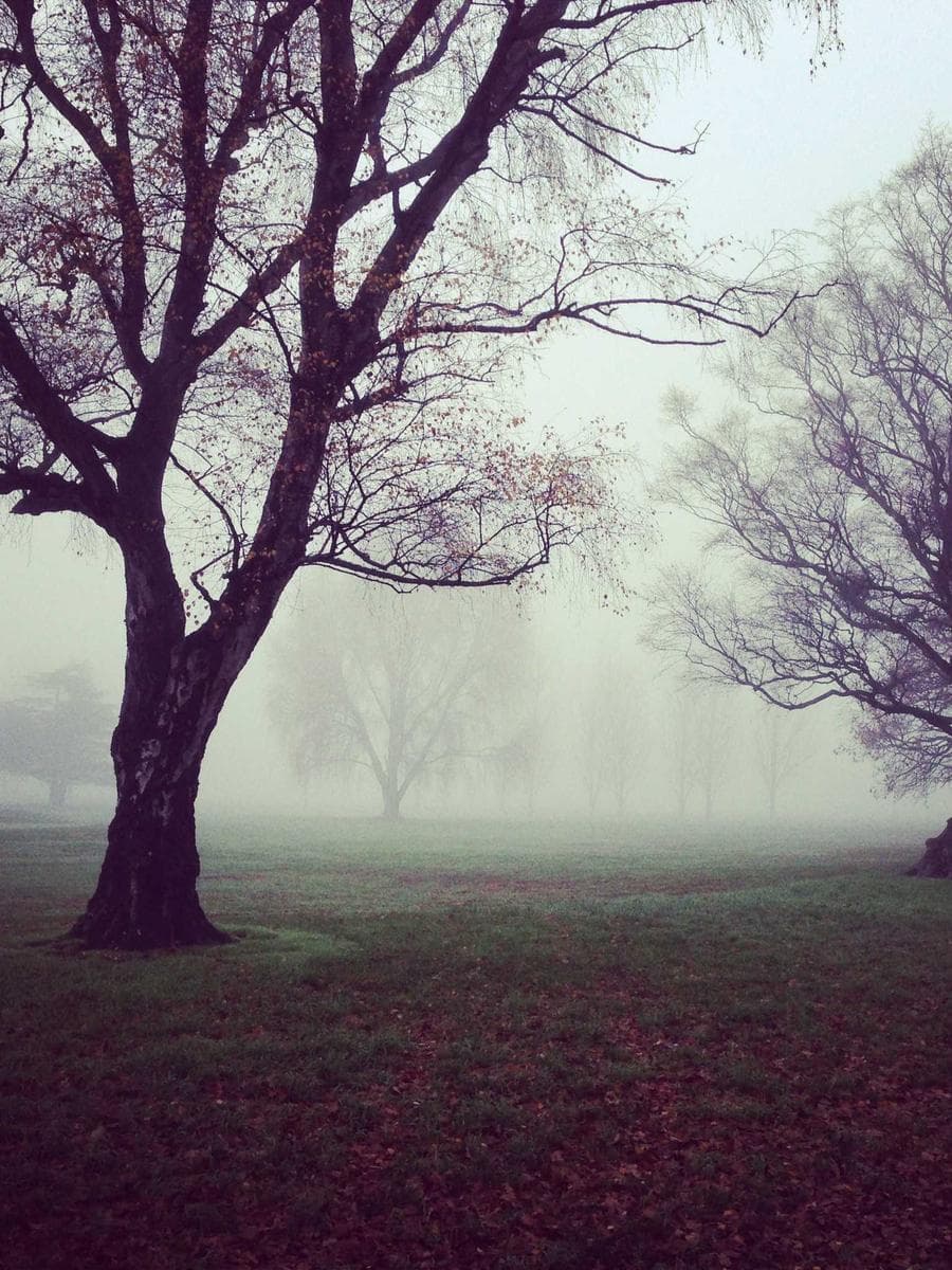 Imagen producto sol-polarizadas-obsidian-ii-108 1