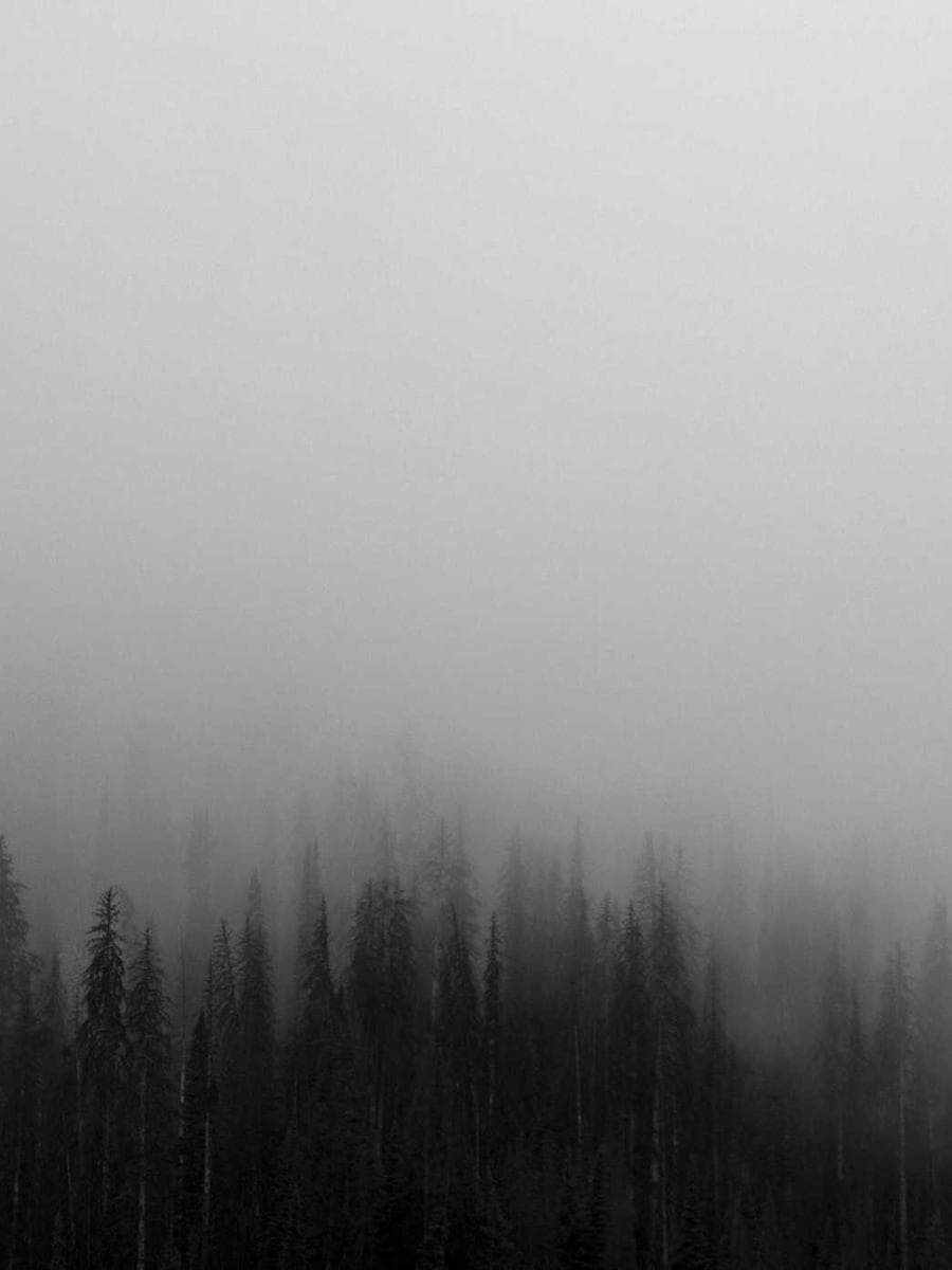 Imagen producto tarjetero-minimalista-ii-78 1