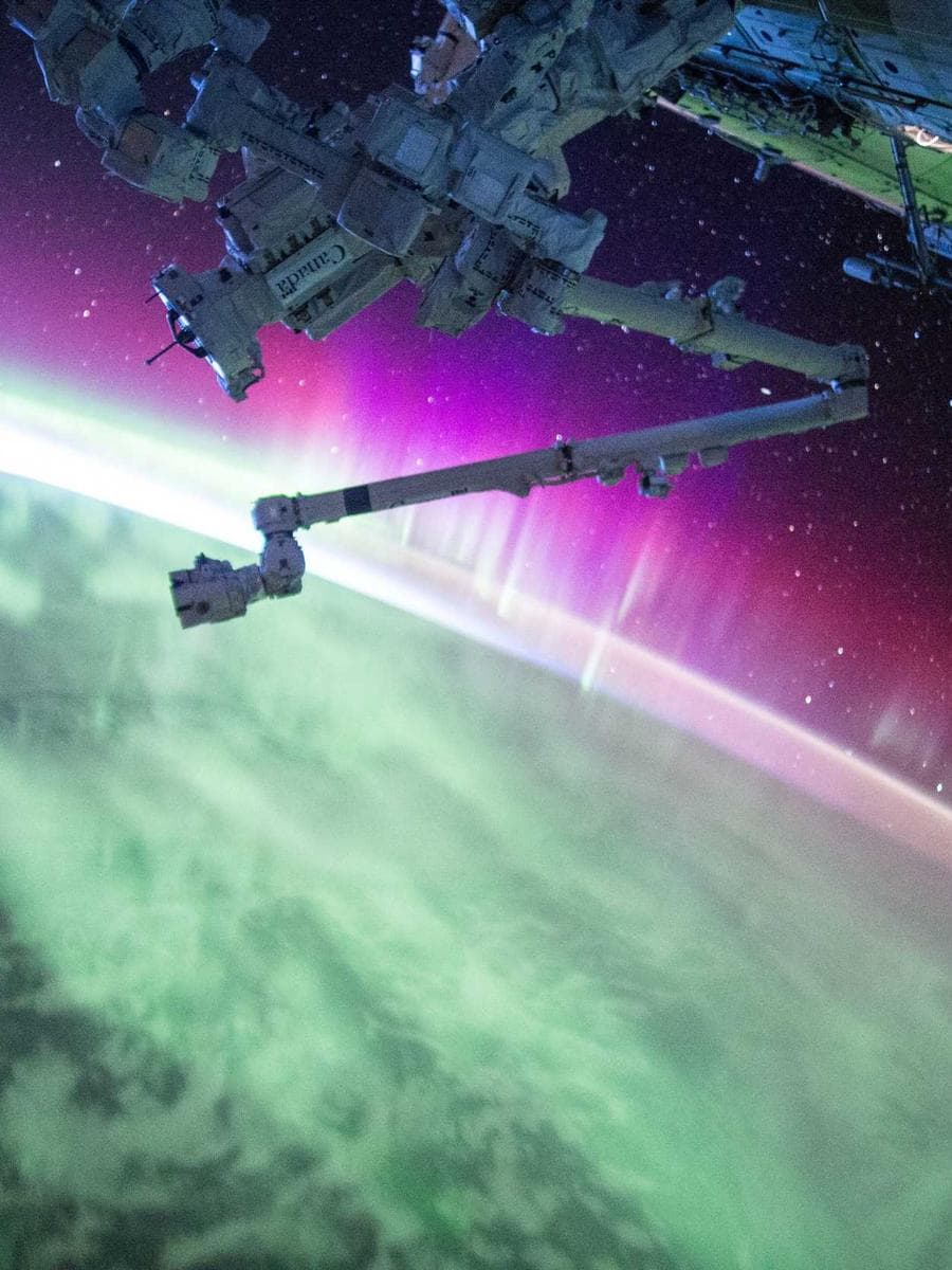 Imagen producto tarjetero-minimalista-iii-86 1